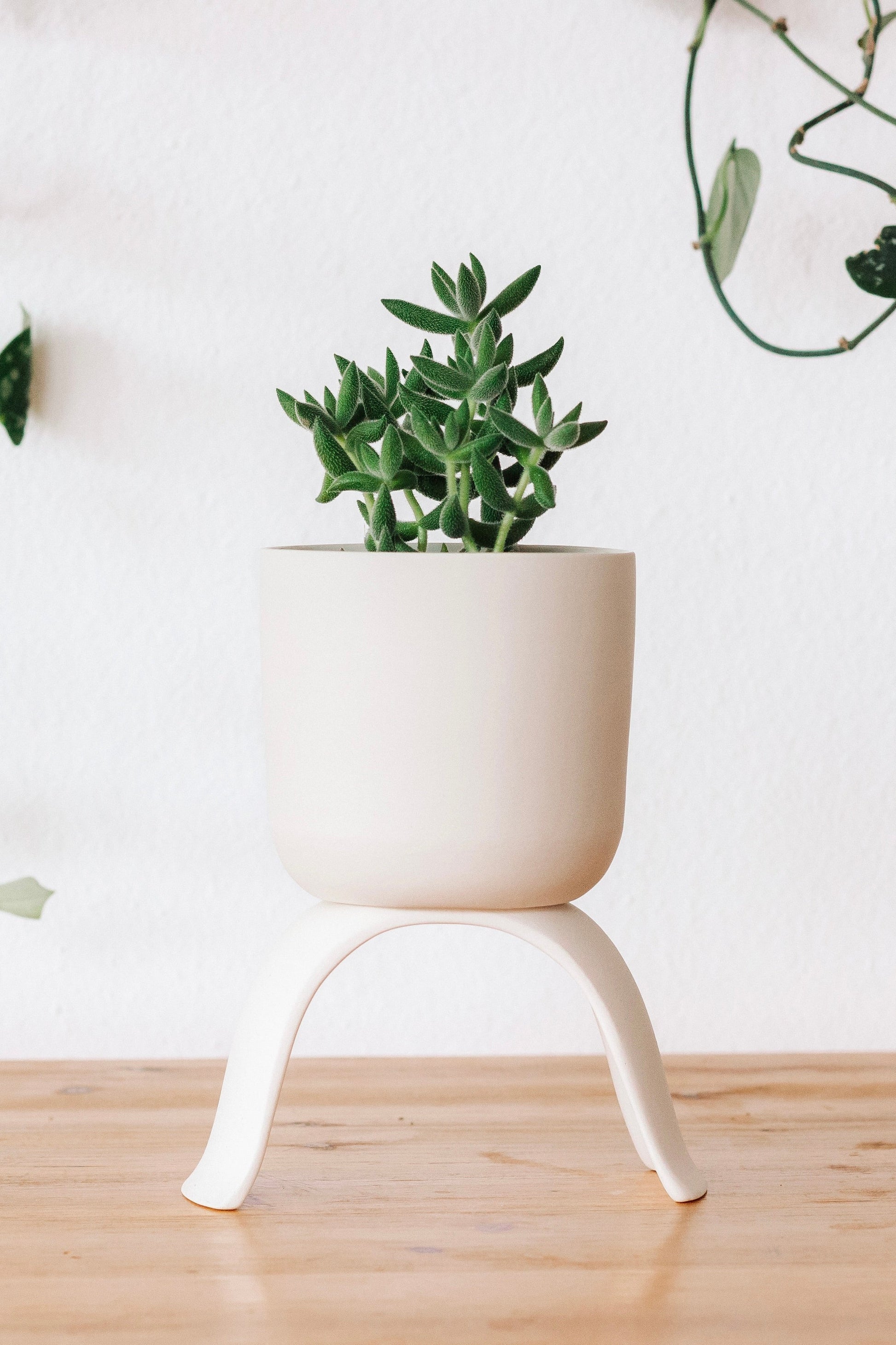 C+R High Rise Planter, Classic - Carter + Rose