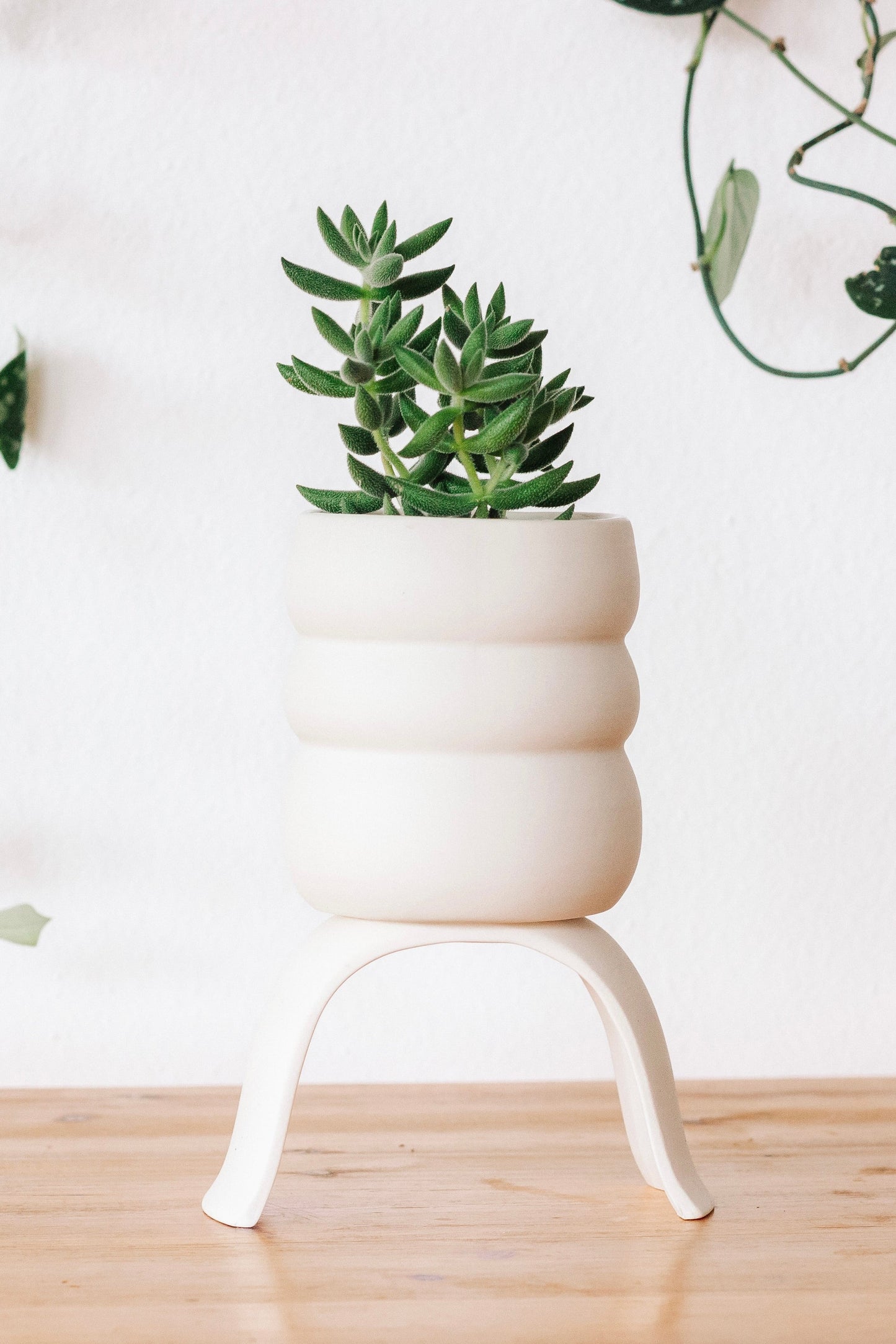 C+R High Rise Planter, Wiggle - Carter + Rose