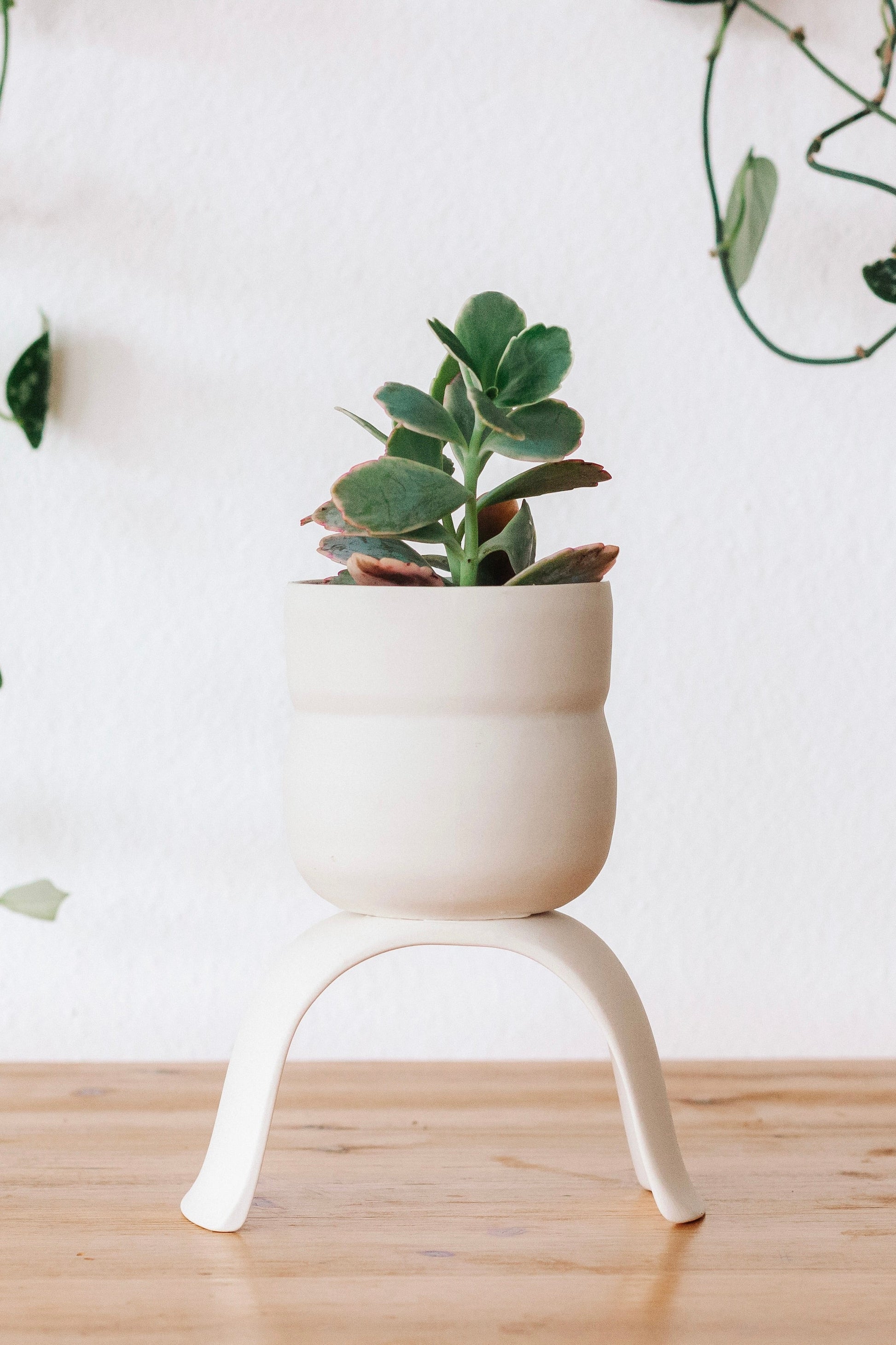 C+R High Rise Planter, Wiggle - Carter + Rose