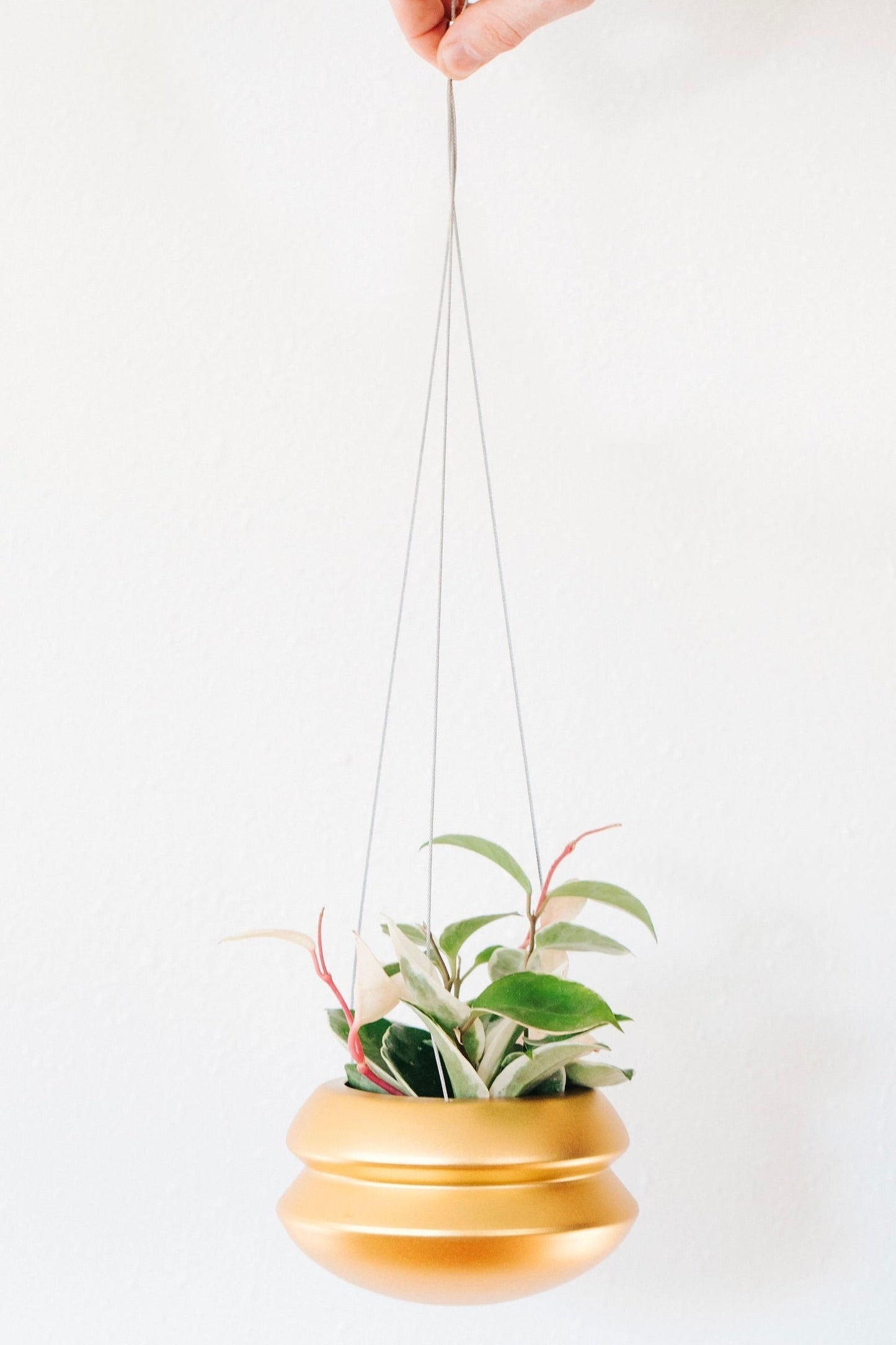 Halo Hanging Planter - Carter + Rose